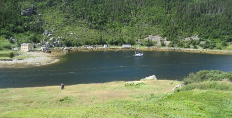 Staragan at Little Harbour West July 2010